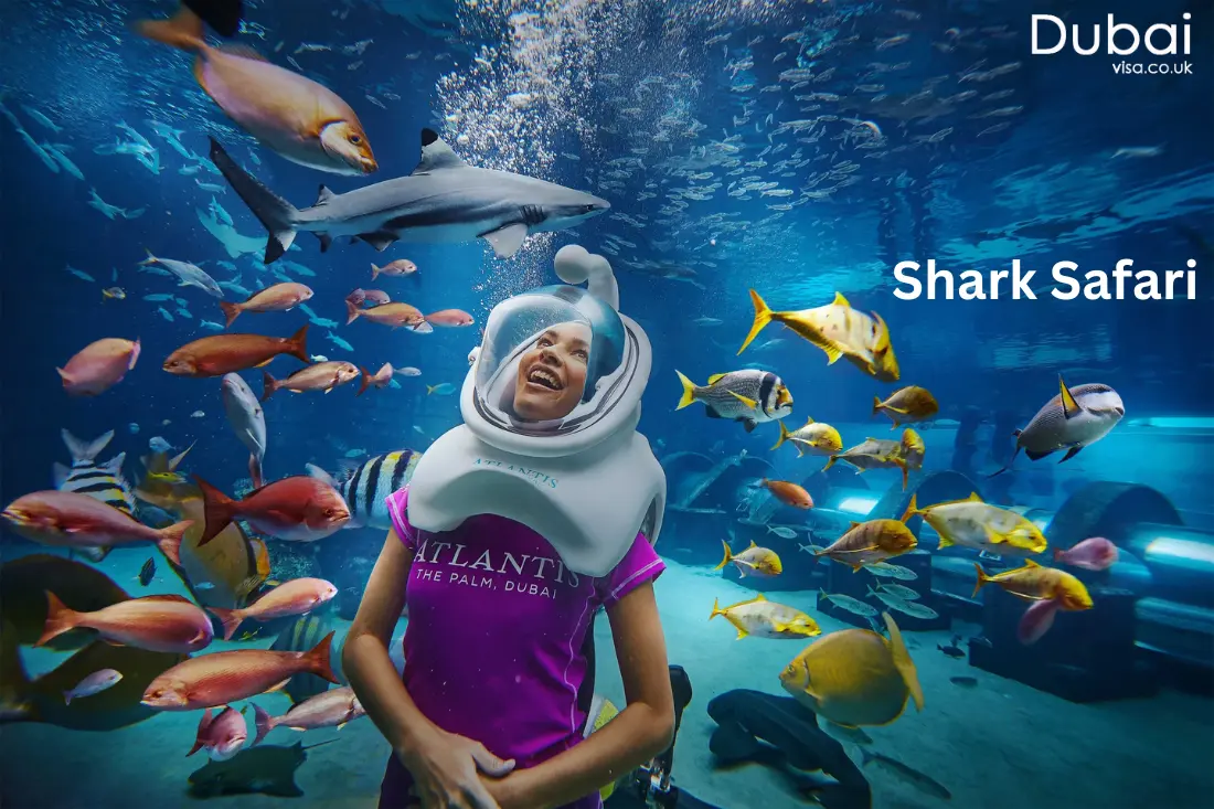 Shark Safari at atlantis water park dubai